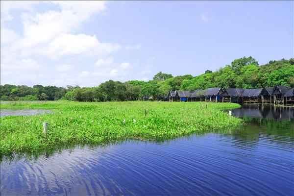 Đánh thức tiềm năng du lịch trằm Trà Lộc