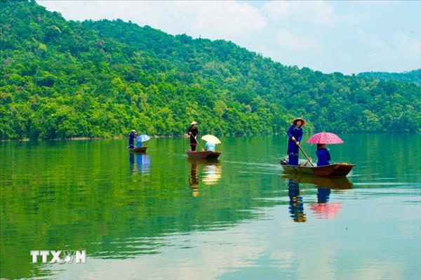 ベトナム、森林分野の排出削減事業で資金支援へ