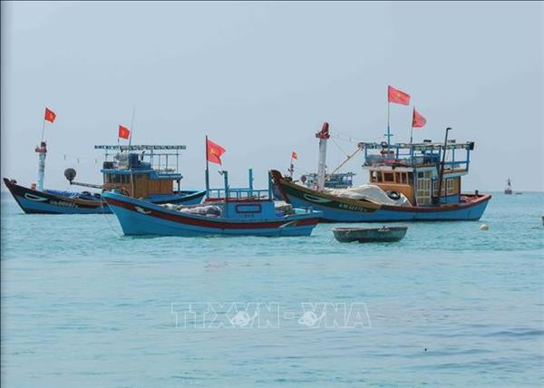 ឌីជីថលរូបនីយកម្មសកម្មភាពអភិរក្សប្រព័ន្ធអេកូឡូស៊ីសមុទ្រនៅ លីស៊ើន