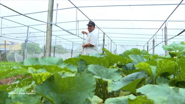 Формирование источников данных для продвижения зелёного и устойчивого сельского хозяйства