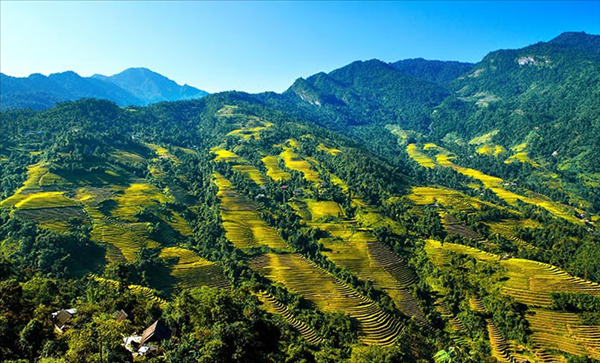 La réserve naturelle de Bat Xat devient le 36 parc national du Vietnam