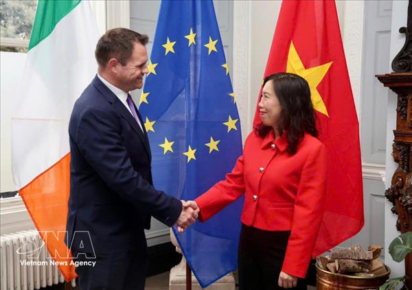 Le Vietnam et lIrlande tiennent une consultation politique sur les liens bilatéraux