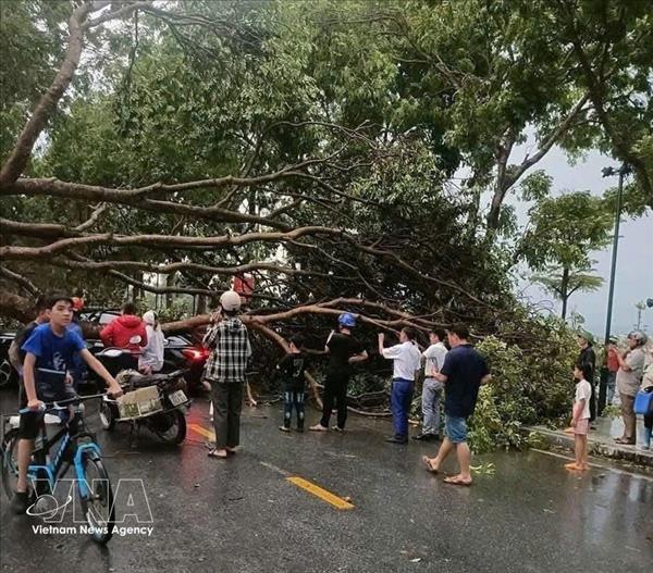 Grêle, tornades et foudre : 13 victimes et dimportants dégâts matériels