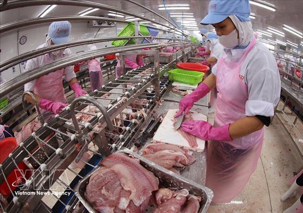 2026年一季度越南农林水产品出口增长近6%