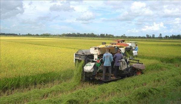 ການ​ສົ່ງ​ອອກ​ຜະ​ລິດ​ຕະ​ພັນ​ກ​ະ​ເສດ, ເຄື່ອງ​ປ່າ​ຂອງ​ດົງ, ສິນ​ໃນ​ນ້ຳ ຂອງ​ໄຕ​ມາ​ດ​ທີ I/2026 ບັນ​ລຸ​ເກືອບ 16,7 ຕື້ USD