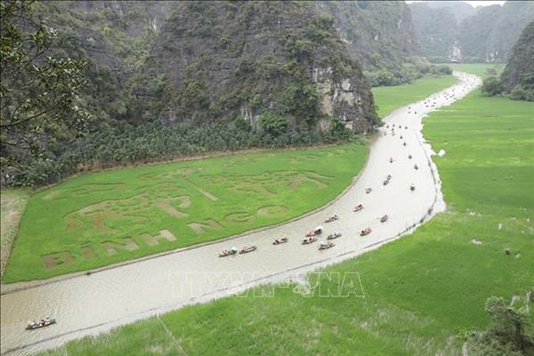 Dệt bức tranh khổ lớn bằng lúa giữa muôn trùng núi non