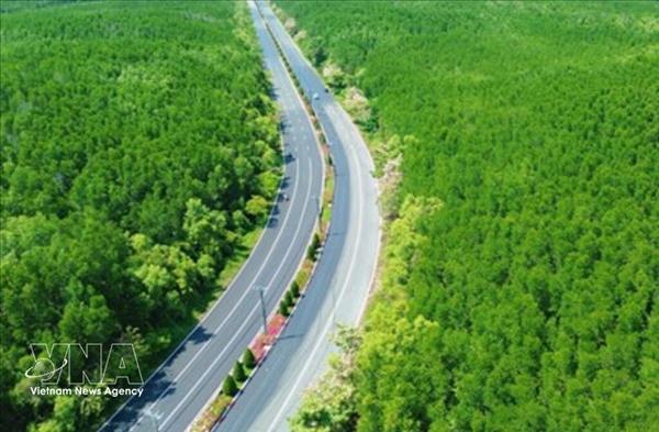 Plus de 5.000 athlètes courent le VnExpress Marathon Green Paradise Cân Gio