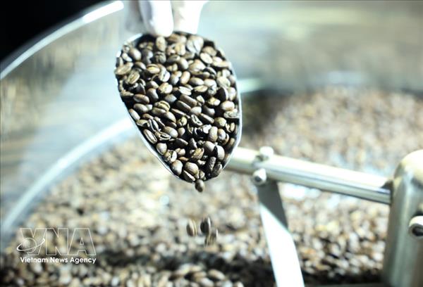 Dynamiser lexportation un produit phare du Vietnam vers lAlgérie