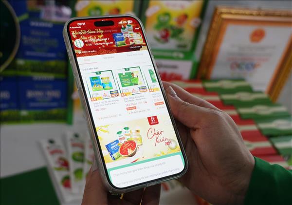 Khánh Hòa đặt mục tiêu thuộc Top 10 cả nước về phát triển thương mại điện tử