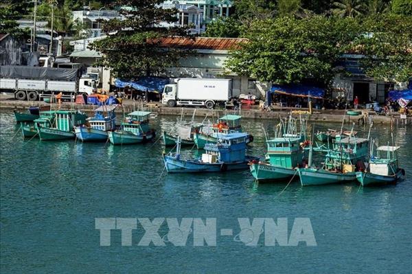 Анзянг активизирует меры по выполнению рекомендаций Еврокомиссии по борьбе с ННН-промыслом