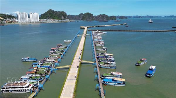 Sea tour launched to connect Ha Long, Lan Ha bays