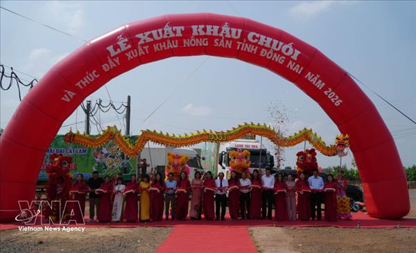 同奈省对中国和日本等国际市场出口220吨香蕉