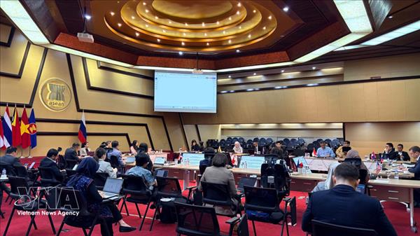 东盟-俄罗斯推动多领域合作