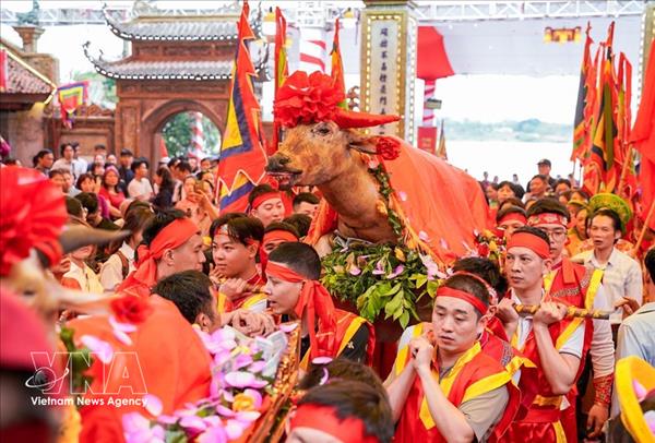 Fête traditionnelle de Bat Trang 2026 : Préserver et faire rayonner les valeurs culturelles