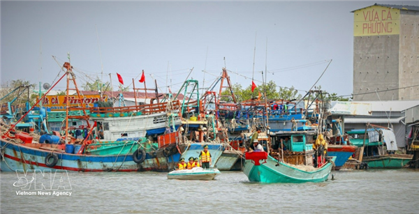 Provincia de Quang Ninh refuerza medidas drásticas contra la pesca ilegal