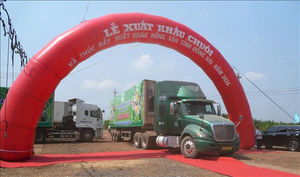 Đồng Nai xuất khẩu 220 tấn chuối ra các thị trường quốc tế