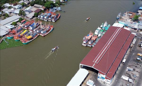 Khắc phục thẻ vàng IUU: An Giang quyết liệt hành động theo khuyến nghị của EC 