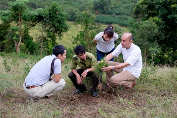 ベトナム、約7200万ドルのグリーン資金を受け取りへ