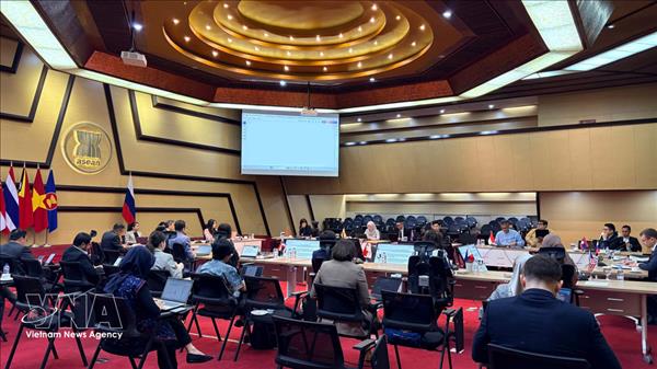 ASEAN y Rusia promueven la cooperación en múltiples ámbitos