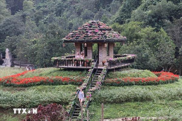 À Ninh Binh, au gré du vent et des fleurs sauvages