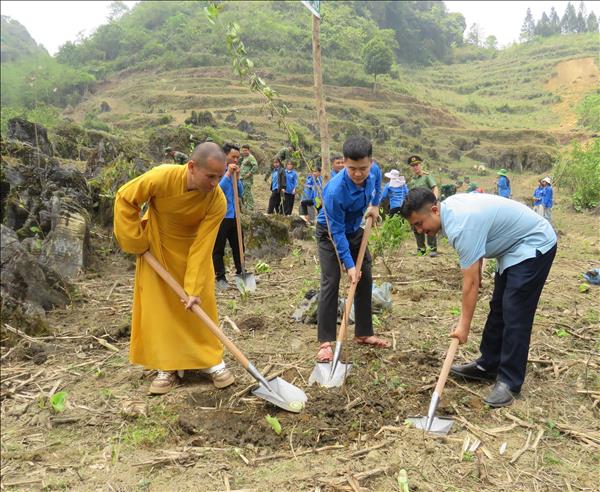 Chung tay phủ xanh biên giới, hướng tới phát triển bền vững
