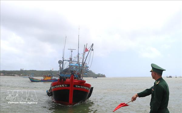Quang Ngai estandariza datos para subsanar deficiencias en gestión de barcos pesqueros