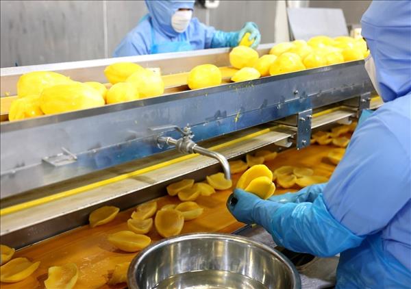 FDI inflows to Vietnam surge 42.9% in Q1