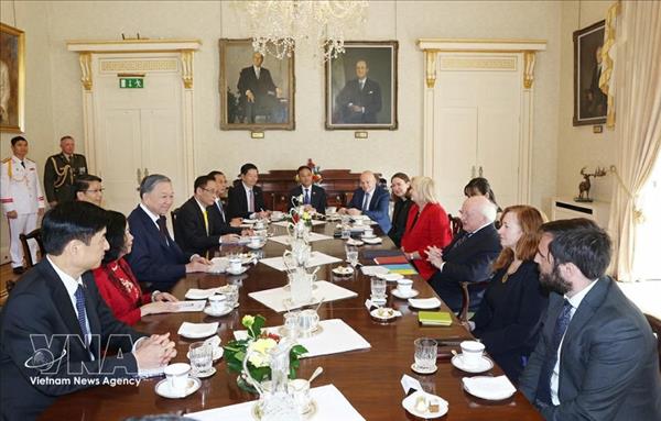 Vietnam–Ireland relations gain strong momentum after 30 years