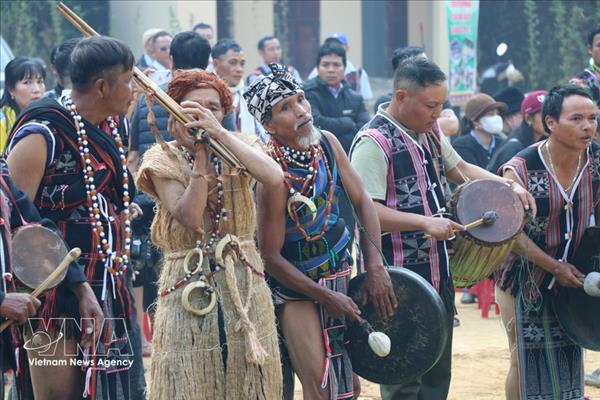 La fête de remerciement à la forêt célèbre la culture Co Tu à Da Nang