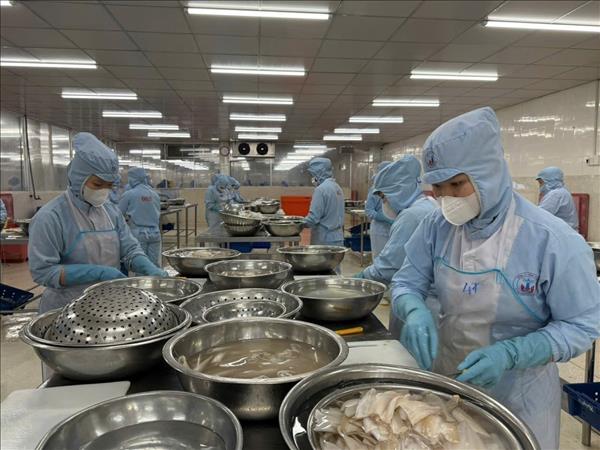 Doanh nghiệp thủy sản TP. Hồ Chí Minh chủ động thích ứng trước khó khăn