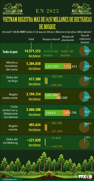 Vietnam registra más de 14,97 millones de hectáreas de bosque