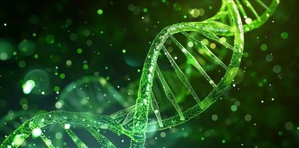 越南科学家破译罕见病遗传密码发现数百个致病性基因变异