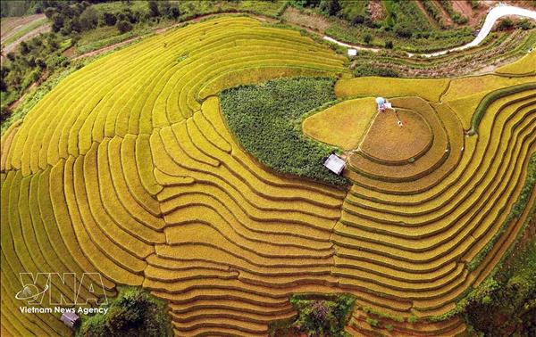Стандартизация деятельности приключенческого туризма