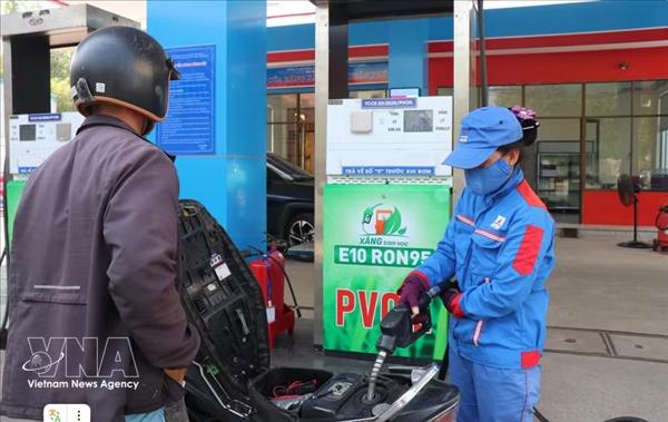 Vietnam advised to build sustainable linkages for bioethanol production