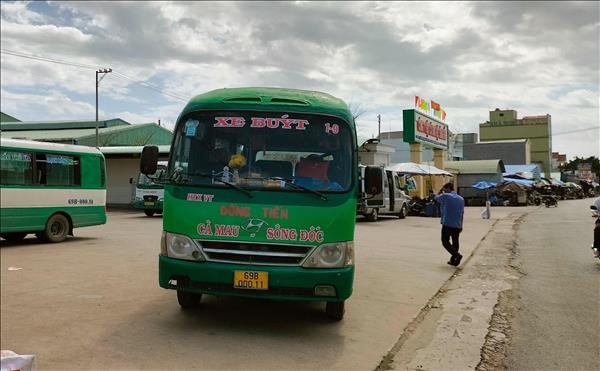 Cà Mau ưu tiên xe buýt năng lượng sạch đến năm 2035