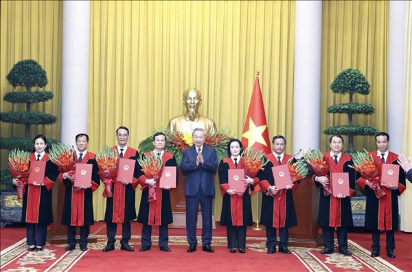 Tổng Bí thư, Chủ tịch nước Tô Lâm trao quyết định bổ nhiệm Thẩm phán Tòa án nhân dân tối cao