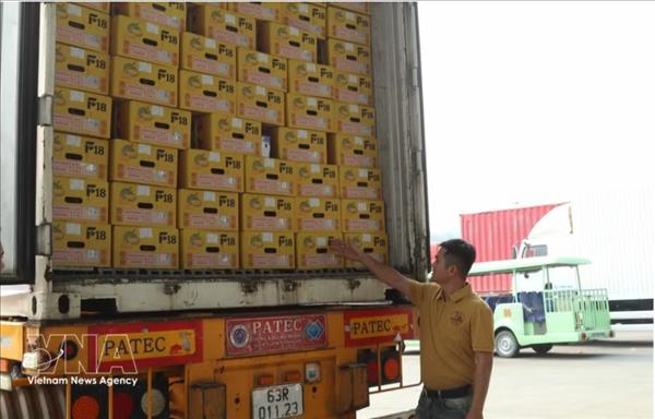 越南首批新鲜榴莲通过绿色通道经由友宜国际口岸出口至中国