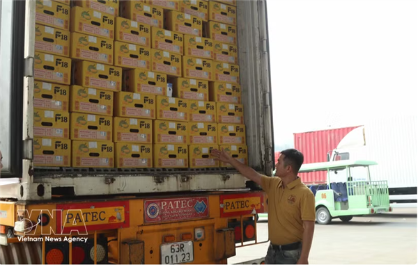 Exportation du premier lot de durians via la  voie verte  au poste-frontière de Huu Nghi