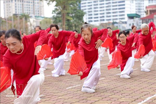 越南开发银发经济：将人口老龄化挑战转化为 增长动力
