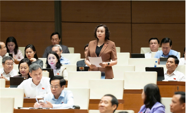 ກອງປະຊຸມຄັ້ງປະຖົມມະເລິກ, ສະພາແຫ່ງຊາດ ຫວຽດນາມ ສືບຕໍ່ເຮັດວຽກ