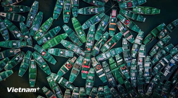 Les fêtes culturelles, moteur touristique de Ninh Binh