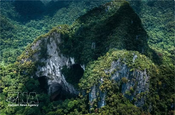 Phong Nha-Ke Bàng, un trésor de biodiversité à découvrir dans le royaume des grottes