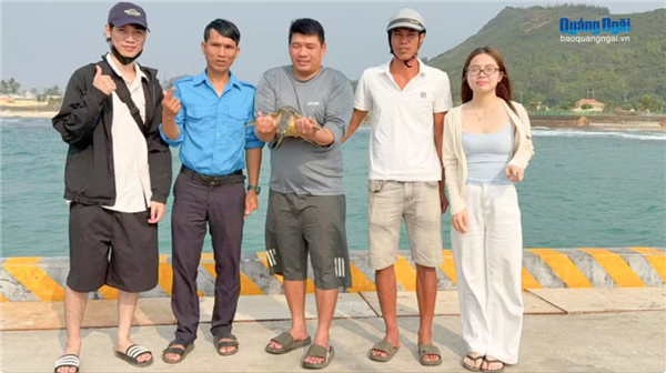 Des touristes assistent à la remise en liberté dune tortue marine rare