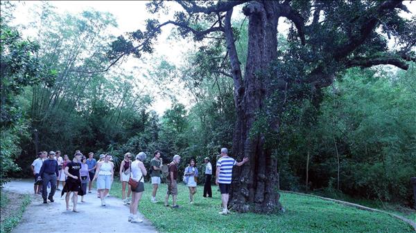 Souvenirs du printemps révolutionnaire dans les tunnels de Ky Anh