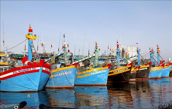 Lâm Đồng triển khai cao điểm chống khai thác IUU