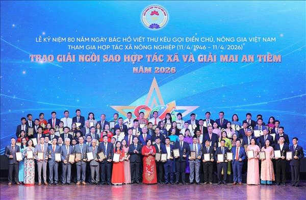 100 hợp tác xã tiêu biểu được trao giải Ngôi sao hợp tác xã và giải Mai An Tiêm năm 2026