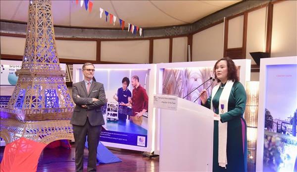 Giáo sư-Tiến sỹ Đinh Thị Mai Thanh nhận Huân chương Cành cọ Hàn lâm