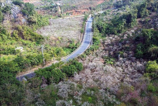 헷짜, 선라성 타이족의 독특한 전통 축제