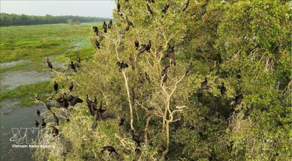 鸟栖国家公园可持续复苏湿地生态系统