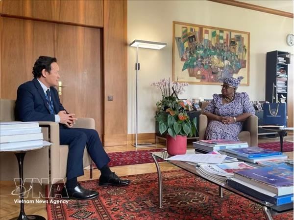 越南大力支持多边贸易体制